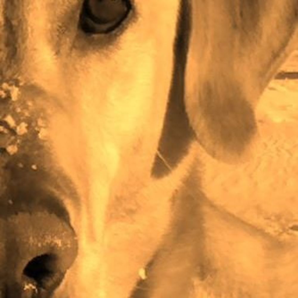 Meet your Posher, Princeton